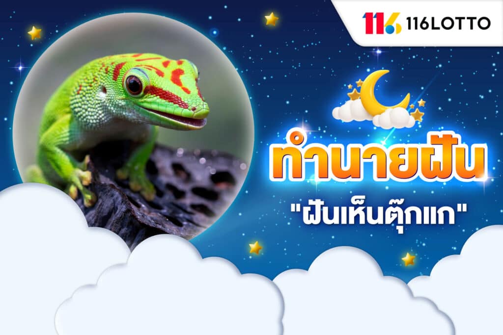 ฝันเห็นตุ๊กแก ความหมาย เมื่อฝันว่าถูกตุ๊กแกกัด และเลขเด็ดเสี่ยงโชค