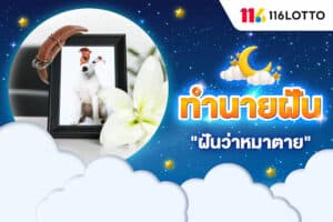ฝันว่าหมาตาย เห็นสัตว์เลี้ยงตาย ทำนายความฝัน พร้อมตีเลขเด็ดแม่น ๆ