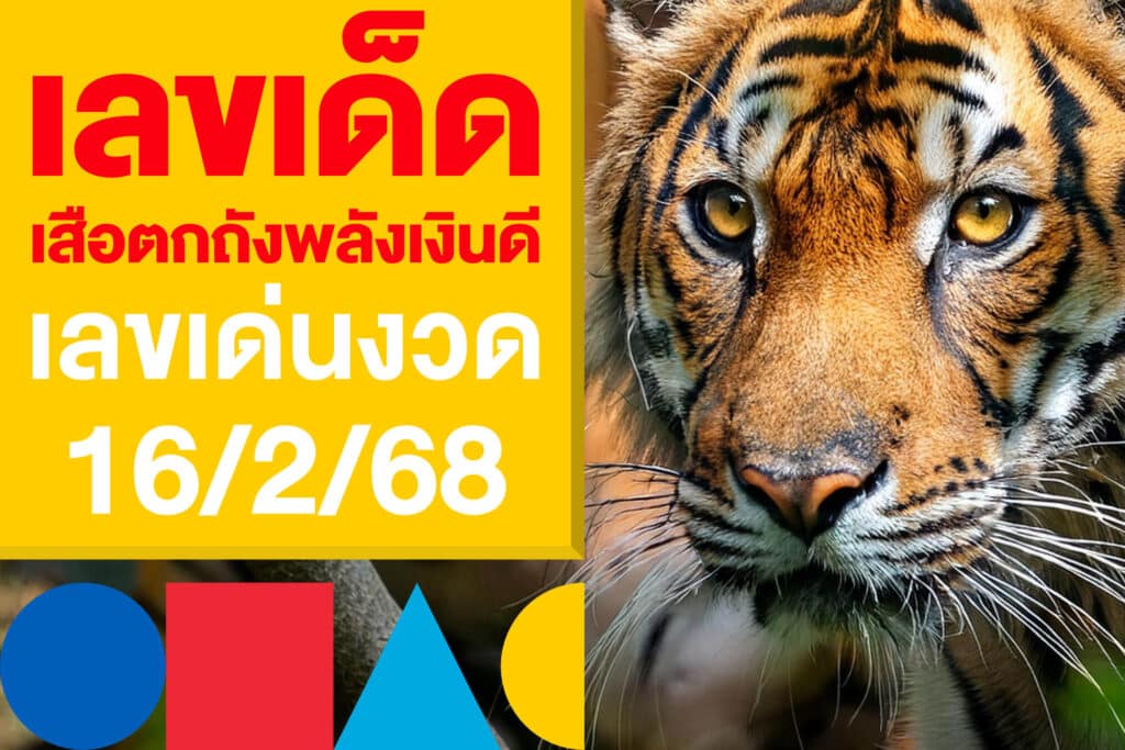 เลขเด็ด เสือตกถังพลังเงินดี เลขเด่นงวด 16/2/68 ส่องโพยหวยงวดนี้