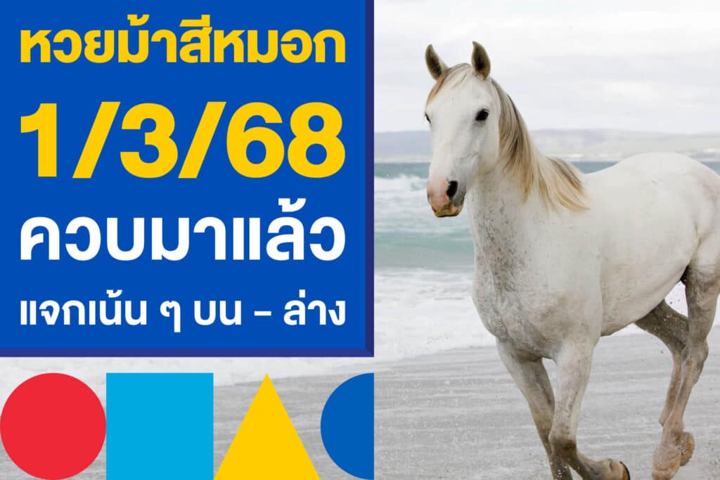 หวยม้าสีหมอก 1/3/68 ควบมาให้ตามแล้ว งวดนี้แจกเน้น ๆ บน - ล่าง