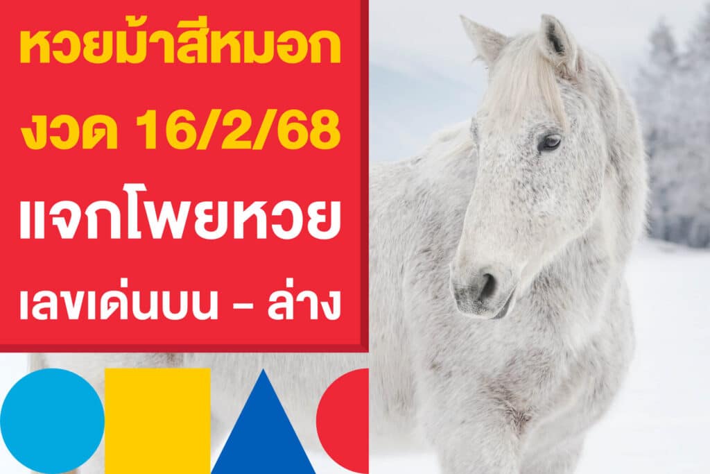 หวยม้าสีหมอก งวด 16/2/68 แจกโพยหวยงวดนี้ จากเลขเด่นบน - ล่าง