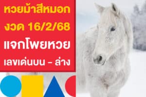 หวยม้าสีหมอก งวด 16/2/68 แจกโพยหวยงวดนี้ จากเลขเด่นบน - ล่าง
