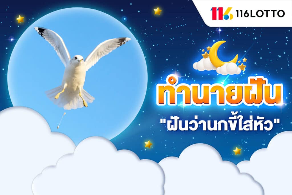 ฝันว่านกขี้ใส่หัว ถูกขี้นกตกใส่ ตีเลขเด็ด พร้อมคำทำนายความฝัน