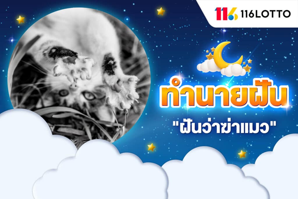 ฝันว่าฆ่าแมว ทำแมวตาย หมายถึงอะไร ทำนายฝัน พร้อมตีเลขเด็ด
