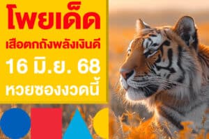 โพยเด็ด เสือตกถังพลังเงินดี 16 มิ.ย. 68 หวยซองงวดนี้ออกแล้ว