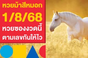 เลขเด็ด หวยม้าสีหมอก 1/8/68 หวยซองงวดนี้ ตามเลขกันให้ไว