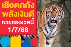 เลขเด็ด เสือตกถังพลังเงินดี หวยซองงวดนี้ 1/7/68 ลุ้นหวยรัฐบาลไทย